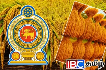 அறுவடைக்குத் தயாராகும் விவசாயிகளுக்கு நற்செய்தி!