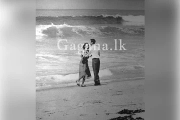 සංචාරයට මෙරටට පැමිණි ඉන්දීය යුවලට සිදු වූ දේ..