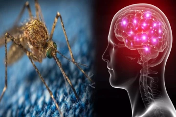 அமெரிக்காவை உலுக்கும் ‘EEE’ வைரஸ் தொற்று: எவ்வாறு பரவும்?