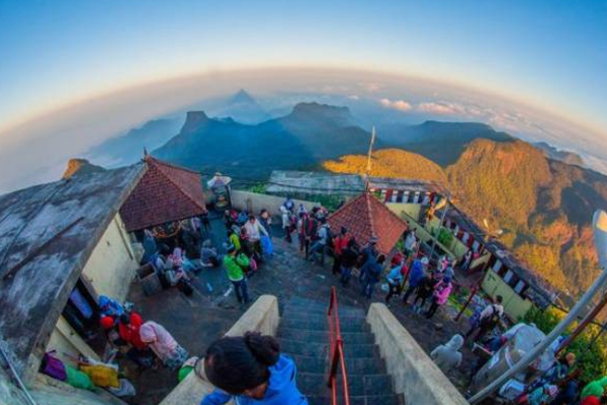 சிவனொளிபாத யாத்திரைக்கு வந்த 322 பேர் கைது | 322 Arrested With Drugs Adam S Peak Pilgrimage சிவனொளிபாத யாத்திரைக்கு வந்த 322 பேர் கைது | 322 Arrested With Drugs Adam S Peak Pilgrimage