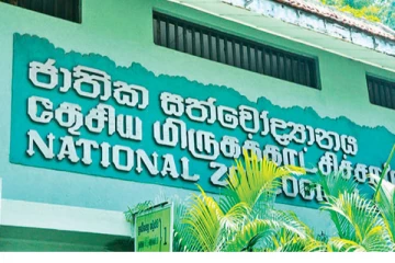 தெஹிவளை மிருகக்காட்சிசாலை அதிரடி ஊழியர் கைது