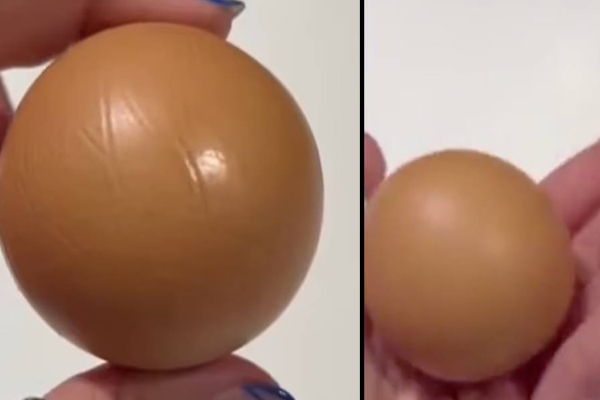 10 லட்சத்தில் ஒன்றாம்; வைரலாகும் உருண்டை வடிவ முட்டை! | One In 10 Lakhs Viral Spherical Egg