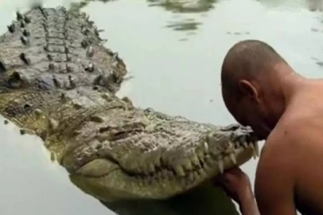 காய்கறி உணவு மட்டுமே உண்ணும் கோவில் முதலை: கேரளாவில் ஒரு ஆச்சரிய தகவல்