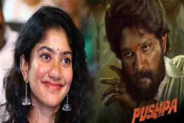 புஷ்பா 2 படத்தில் சாய்பல்லவி….  என்ன  கதாபாத்திரம் தெரியுமா ?