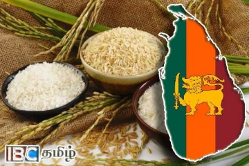 இலங்கைக்கு இறக்குமதி செய்யப்பட்ட அரிசி : வெளியான தகவல்