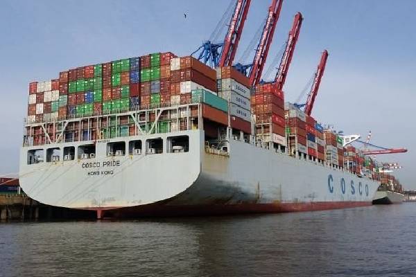 ஐரோப்பிய நாடொன்றில் இருந்து பன்றி இறைச்சிக்கு ஏற்றுமதி தடை: அமைச்சர் விளக்கம் | Spanish Pork Export Blocked