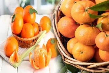 குளிர்காலத்தில் இந்த பழத்தை சாப்பிடலாமா? கட்டாயம் தெரிஞ்சிக்கோங்க