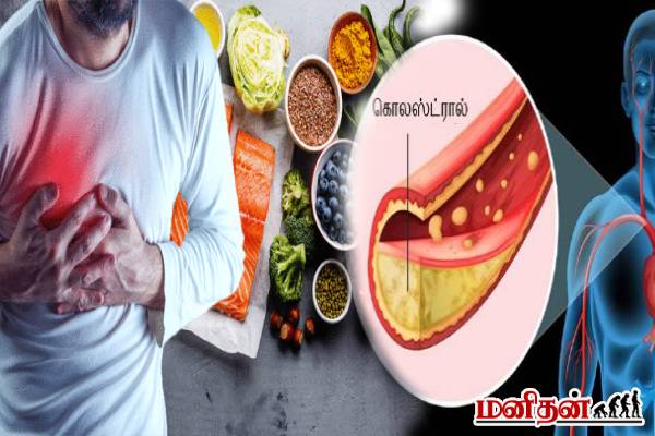 மாரடைப்புக்கு காரணமாகும் கெட்ட கொழுப்பு! இந்த உணவுகளை இனியும் தவிர்க்காதீங்க | What Foods Reduces Cholesterol Quickly
