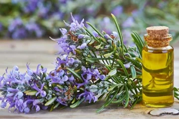 முடி தாறுமாறாக வளர வேண்டுமா? இந்த ஒரே ஒரு எண்ணெய்யை போதும்