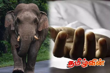 திருகோணமலையில் யானை தாக்கி குடும்பஸ்தர் பரிதாப மரணம்