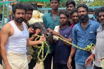 வாடிவாசல் படத்திலிருந்து வெளியேறிய சூர்யா.. புதிய ஹீரோ இவரா.. வெற்றிமாறனின் அதிரடி