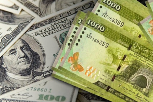 இன்றைய நாளுக்கான நாணயமாற்று விகிதம் | Doller Daily Buy And Sell Exchange Rates