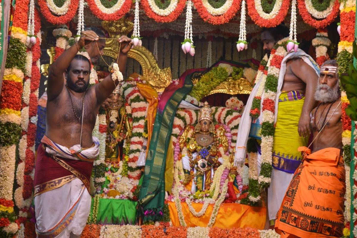 மதுரை மீனாட்சி திருக்கல்யாணம் கோலாகலம் | Meenakshi Marriage Madurai Chithirai Thiruvizha