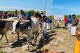 மட்டக்களப்பில் இடம்பெற்ற ஏர்பூட்டு விழா