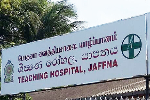 யாழில் சோகம் : வயோதிபப் பெண்ணுக்கு நேர்ந்த கதி | Ragedy In Jaffna The Fate Of An Elderly Woman