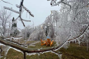 ஒன்டாரியோவில் கடும் பனிமழை: ஆயிரக் கணக்கான வீடுகளுக்கு மின் தடை