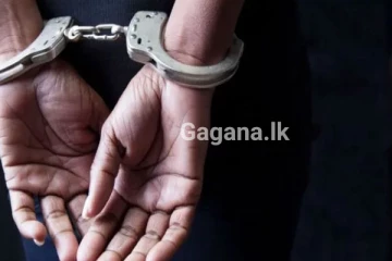 වහාම සිඟිති අත්අඩංගුවට ගනී..!