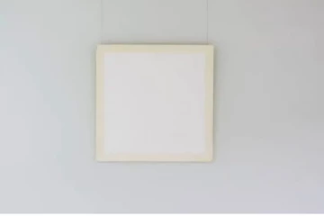 வெறும் வெள்ளைத்தாள் ரூ.12 கோடிக்கு ஏலம் - அப்படி என்ன இருக்கு தாள்ல?