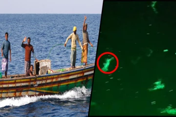 மட்டக்களப்பு கடலை ஆக்கிரமித்துள்ள ஒருவகை நண்டு இனம்: கடற்றொழிலாளர்கள் பெரும் பாதிப்பு(Video)