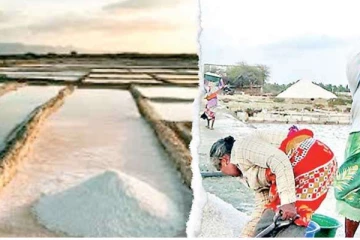 ආයෙමත් පෝලිම් යුගයක්ද.. රට තුළ පවතින ලුණු සම්බන්ධයෙන් විශේෂ දැනුම්දීමක්..