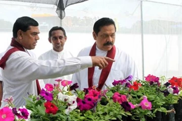 மகிந்த மற்றும் பசிலுக்கு எதிரான வெளிநாட்டு பயணத்தடை! நீதிமன்றம் பிறப்பித்துள்ள உத்தரவு