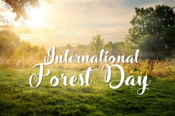 ජාත්‍යන්තර වනාන්තර දිනය අදයි