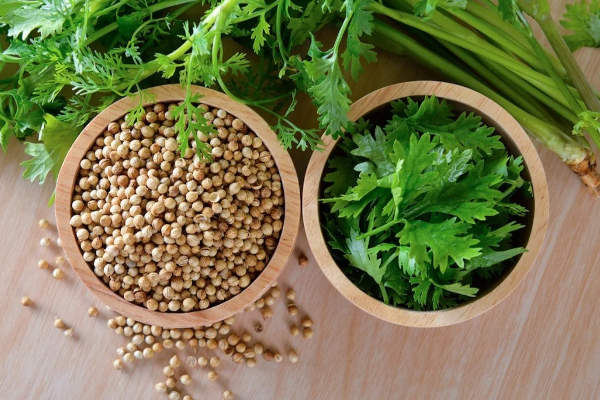 கிட்னியை சுத்தம் செய்யுமா கொத்தமல்லி? | Can Coriander Clean The Kidneys