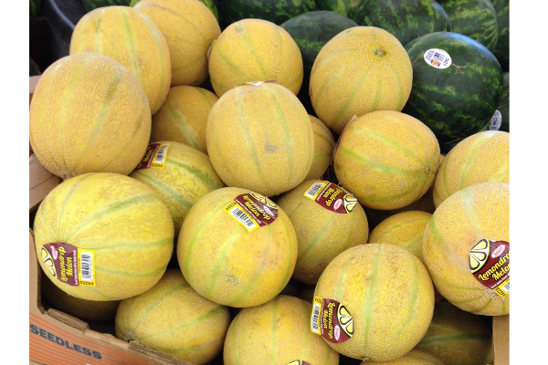 மிக விரைவில் சந்தைக்கு அறிமுகமாகும் ஜப்பானின் புதிய பழவகை | Farmers In Japan Have Created A New Fruit