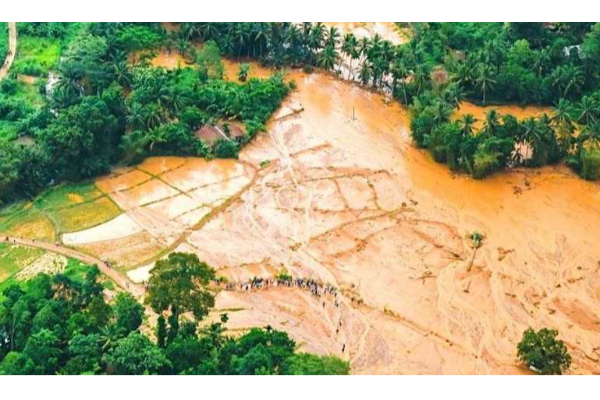 இந்த வருடம் நெல் அறுவடை குறையும் ஆபத்து!விவசாயத் துறையின் அறிவிப்பு | Ditwah Cyclone Sri Lanka Agricultural Recovery