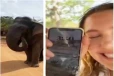 சுற்றுலாப் பயணியின் தொலைபேசியை உட்கொள்ள முயற்சித்த காட்டு யானை