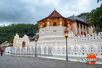 හැමෝම එක පෝලිමේ - දළදා වන්දනාවට VIP/ VVIP පෝලිම් නෑ