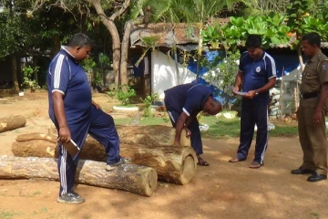 வவுனியாவில் 10 இலட்சம் ரூபா பெறுமதியான முதிரை குற்றிகள் மீட்பு (Photos)