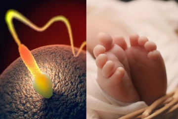 புதுசா கல்யாணம் ஆகியிருக்கா? குழந்தைக்கு பிளான் பண்றீங்களா - இதை தெரிஞ்சுக்கோங்க..