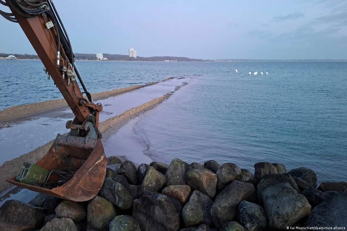 ஜேர்மன் கடற்கரையில் சிக்கியிருந்த திமிங்கலம்: சமீபத்திய தகவல் | Whale Swims To Freedom Stranded On German Beach