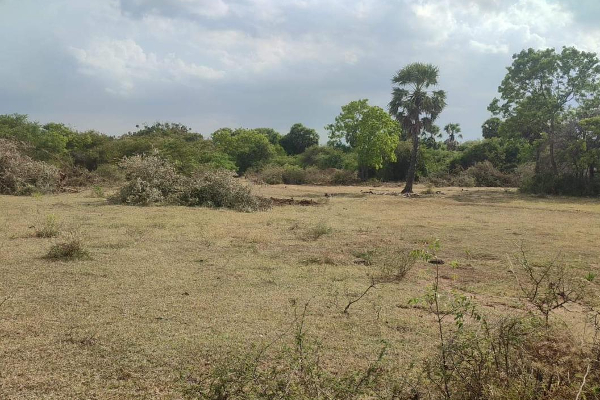 தமிழர் காணிகளுக்குள் பிக்குவின் அத்துமீறல் | Monk Encroachment Into Tamil Lands