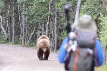 கனடாவில் பூங்கா ஒன்றில் சடலமாக மீட்கப்பட்ட தம்பதி: வெளியான அதிர்ச்சி பின்னணி