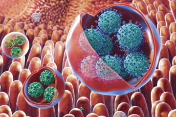 கனடாவில் வேகமாக பரவி வரும் வைரஸ்