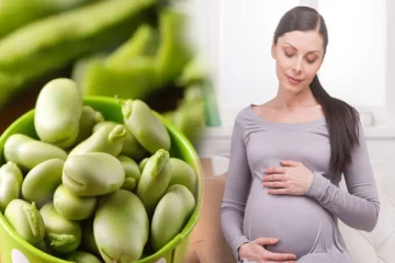 மொச்சை பயறு ஏன் சாப்பிட வேண்டும்? அட இந்த நோய்க்கு சிறந்த தீர்வுங்க