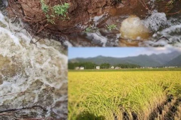 வவுனியாவில் குளம் உடைப்பெடுத்ததால் விவசாய நிலங்கள் பாதிப்பு