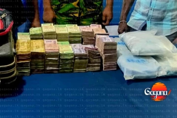 ශ්‍රී ලංකා යුද්ධ හමුදාව විසින් මිලියන ගානක මත්කුඩු වටලයි [PHOTO]