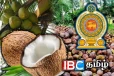 இலங்கையில் மீண்டும் உச்சம் தொடும் தேங்காய் விலை