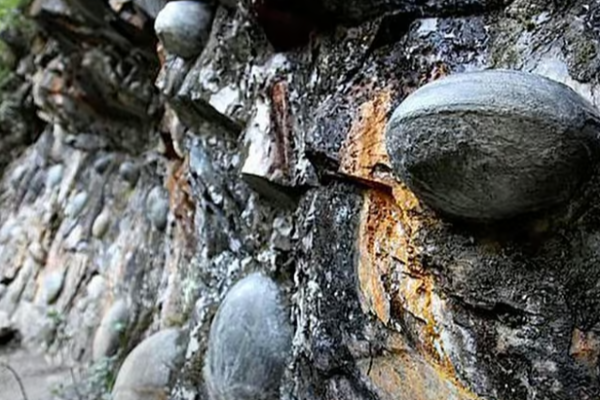 முட்டையிடும் பாறை ; 30 ஆண்டுகளுக்கு ஒருமுறை நிகழும் விசித்திரம் | Mystery Rock Lays Eggs Every 30 Years முட்டையிடும் பாறை ; 30 ஆண்டுகளுக்கு ஒருமுறை நிகழும் விசித்திரம் | Mystery Rock Lays Eggs Every 30 Years