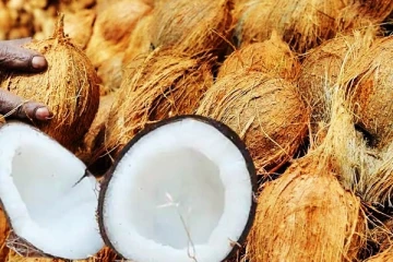 நாட்டில் திடீரென அதிகரித்த தேங்காய் விலை!