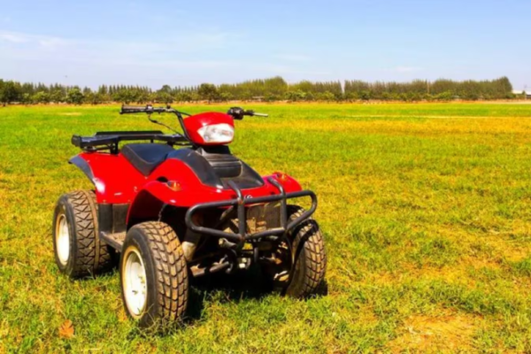 ஒன்டாரியோவில் இடம்பெற்ற விபத்தில் 8 வயது சிறுவன் பலி | 8 Year Old Dies Following Atv Crash In Ont