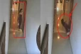 கணவருடன் விடுதி அறையில் தங்கியிருந்த புதுப்பெண் நேர்ந்த கதி ; CCTV காணொளியில் காத்திருந்த ஷாக்