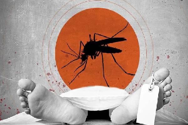 இலங்கையில் 2023 இல் மட்டும் 61,000 டெங்கு வழக்குகள் பதிவு | 61 000 Cases Dengue Reported In Sri Lanka In 2023