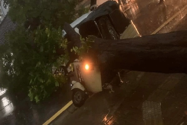 கொழும்பில் மரம் முறிந்து மற்றுமொரு விபத்து: இரு வாகனங்கள் சேதம்(படங்கள்) | Two Vehicles Were Damaged A Tree Fell