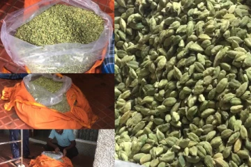 இந்தியாவிலிருந்து இலங்கைக்கு கடத்த முயன்ற ஒரு தொகுதி ஏலக்காய் மீட்பு!