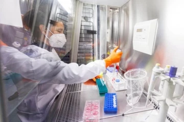 பிரான்ஸில் குரங்கு அம்மை  பாதிப்பால்  இருவர்  ஆபத்தான நிலையில்