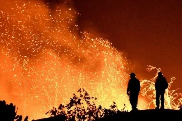 பிரான்சில் பயங்கரமாக பற்றியெரியும் காட்டுத்தீ... 36,000 பேர் வீடுகளை விட்டு வெளியேற்றம்